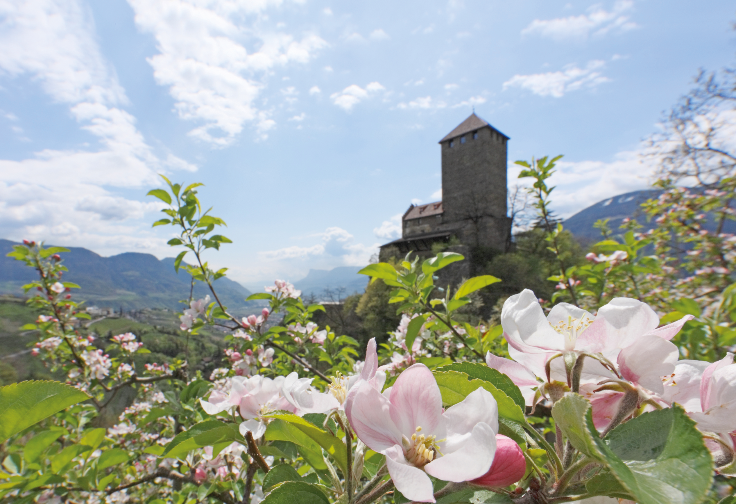 Schloss Tirol bei Meran